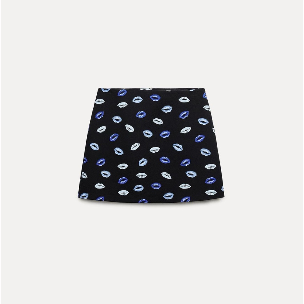 Zara lipstick skirt